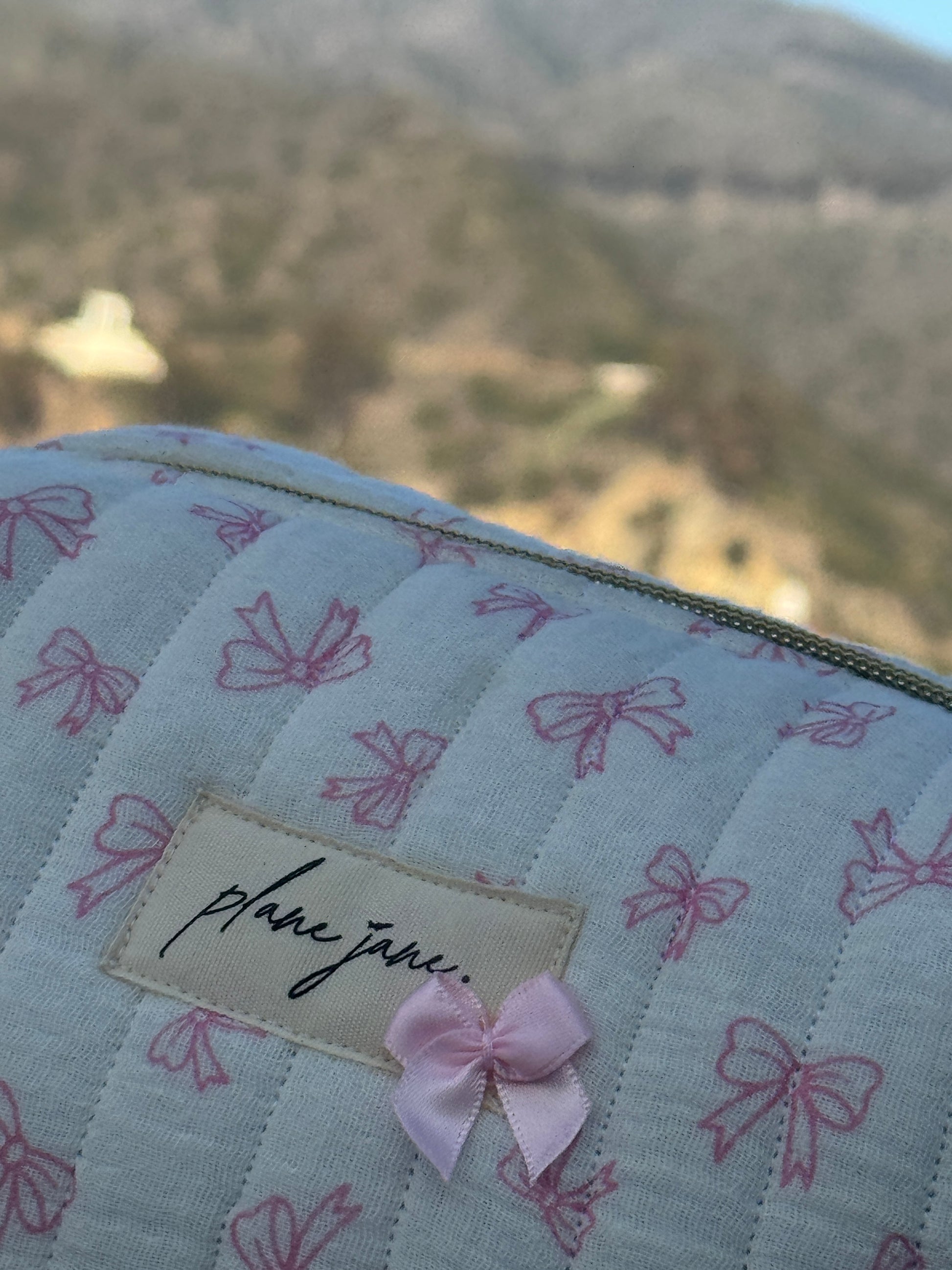 Amalfi Day Trip Carry On Pouch