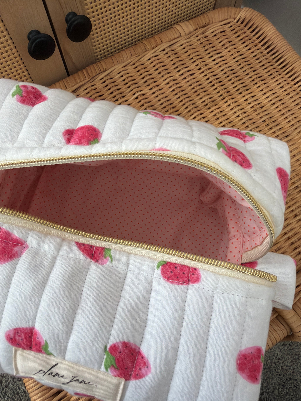 Aspen Day Trip Carry On Pouch