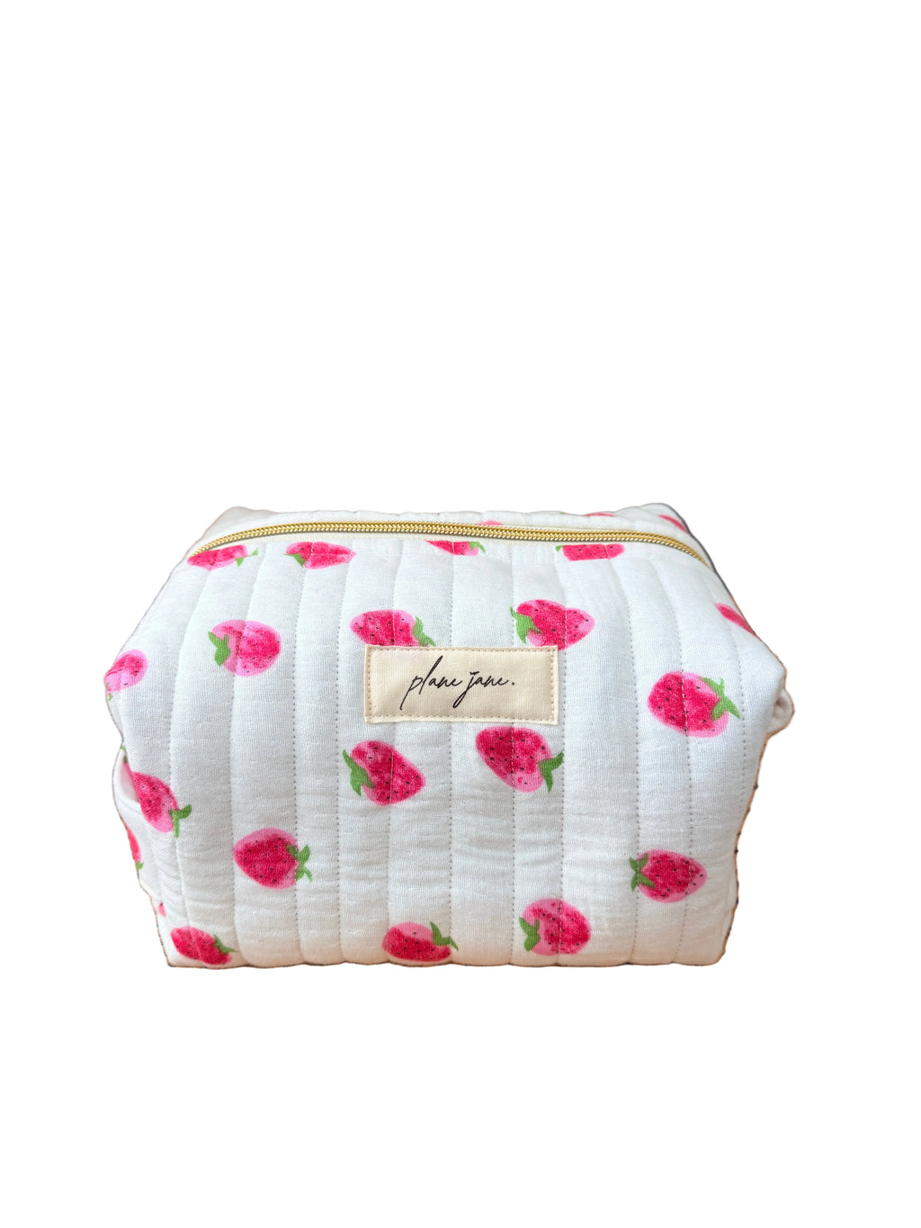 Aspen Day Trip Carry On Pouch