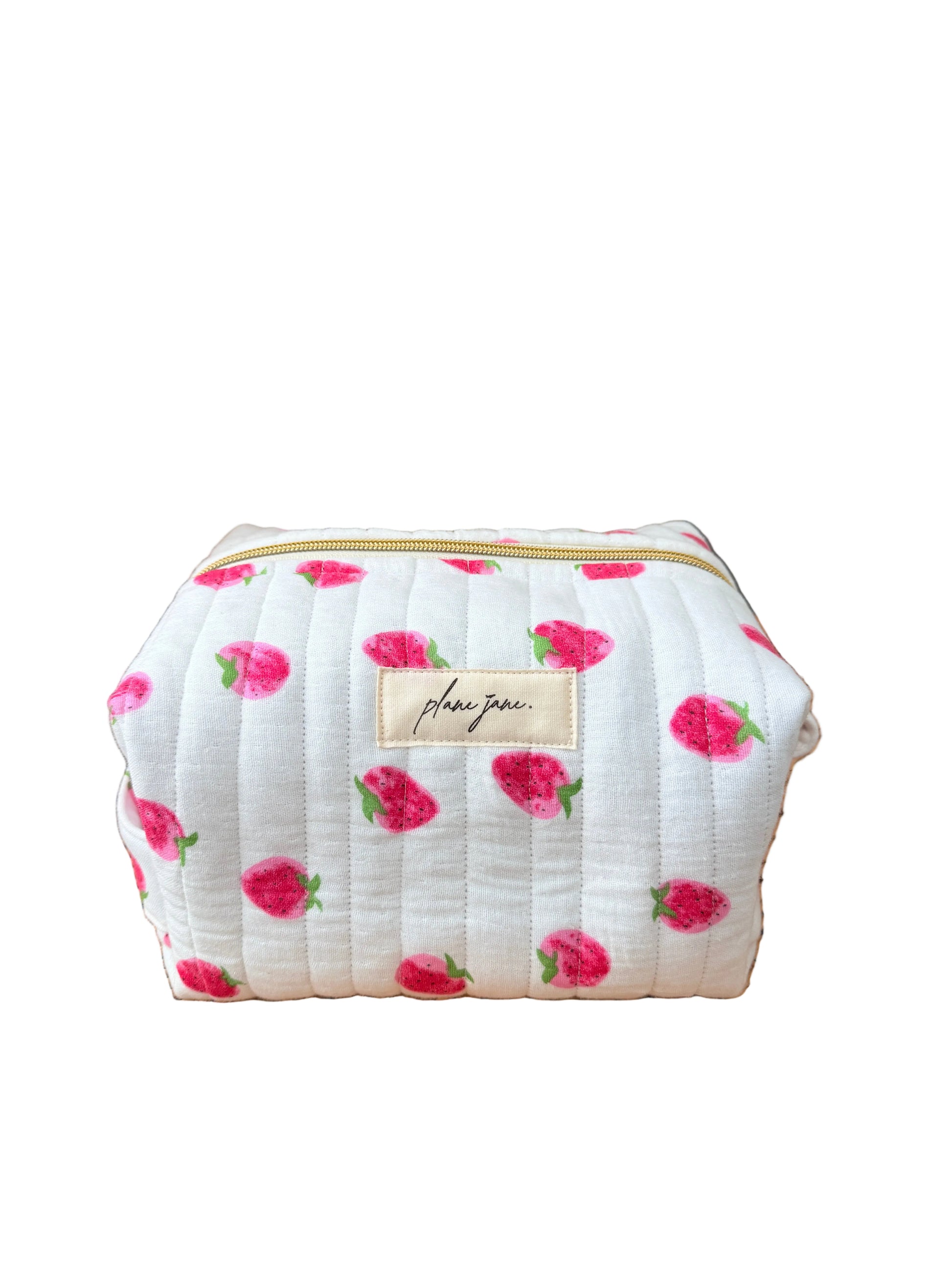 Aspen Day Trip Carry On Pouch